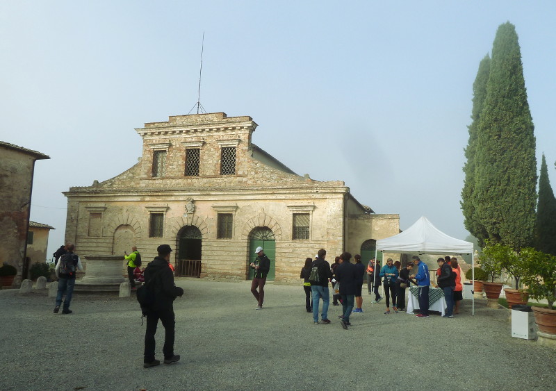 Castelnuovo Berardenga Cantine Falsina