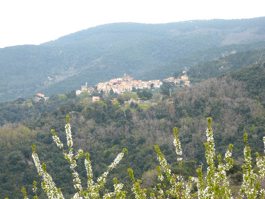 Veduda di Poggio da Marciana