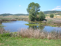 Parco di Colfiorito