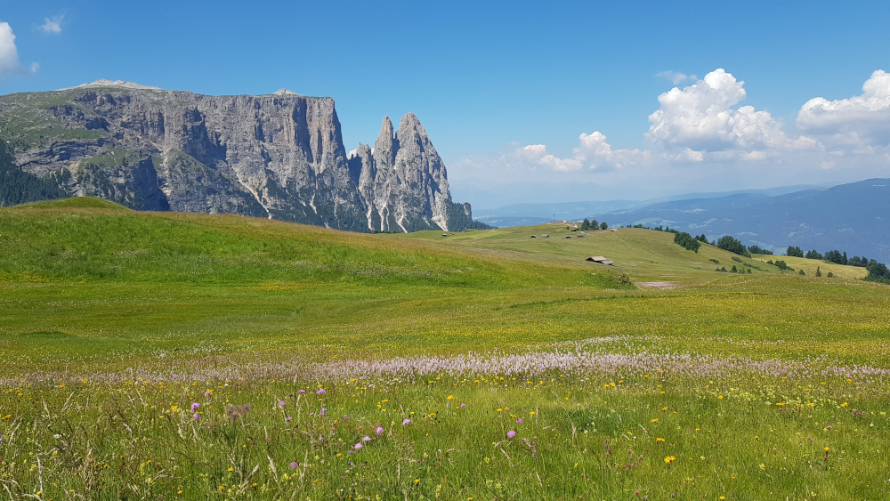 Compaccio Alpe di Siusi