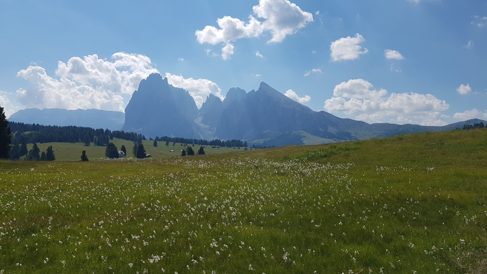 Foto Alpe di Siusi