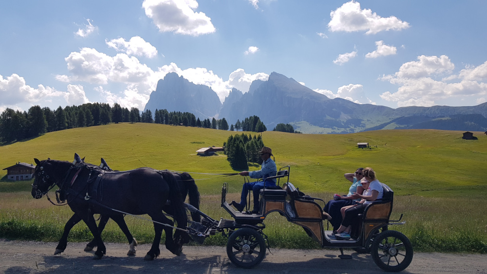 Foto carrozzella in Alpe di Siusi