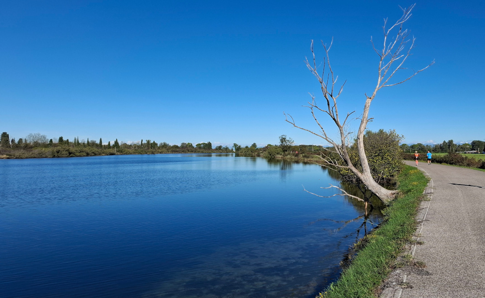 Laguna di Grado