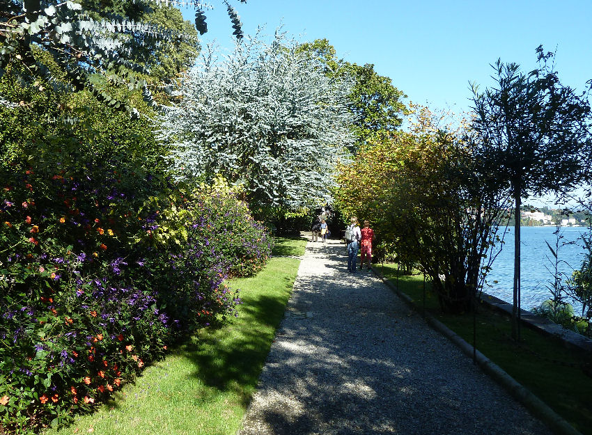 Viale giardini Isola_Madre