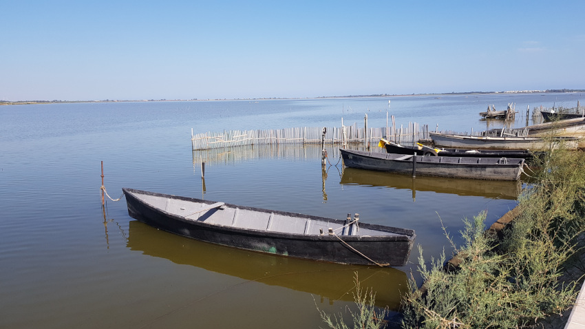 Lesina barche di pescatori