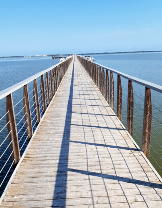 Ponte di Lesina verso isola San Clemente