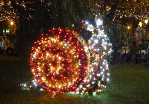 Giardino_incantato Salerno