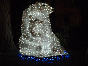 Orso_Polare Giardino_incantato Salerno