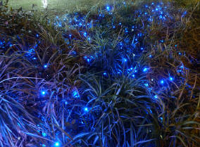 Prato luminoso Salerno Luci_d'Artista
