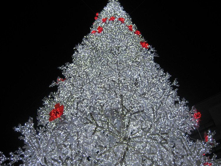 Albero_di_Natale