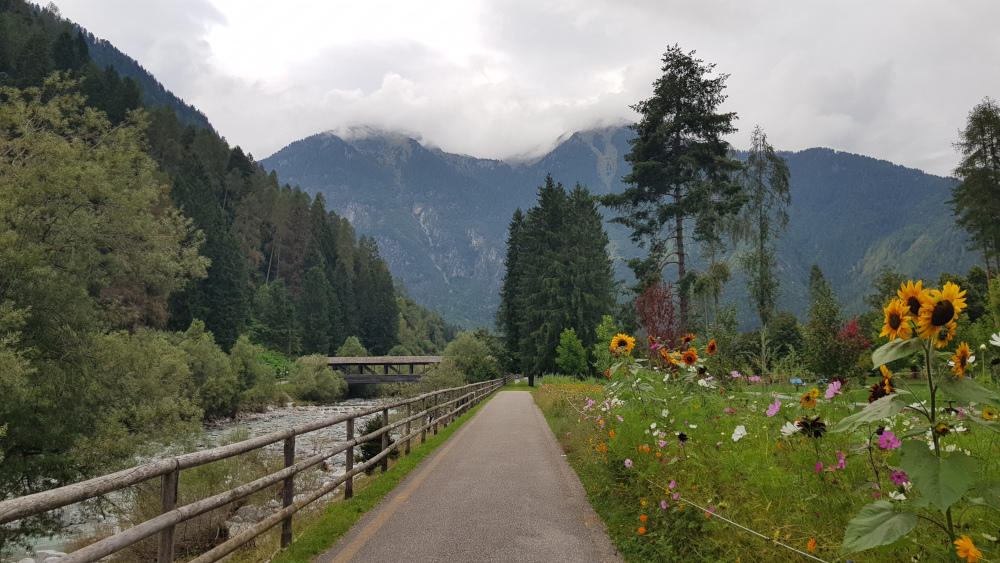 Pinzolo Parco Pineta  col fiume Sarca di Val Genova