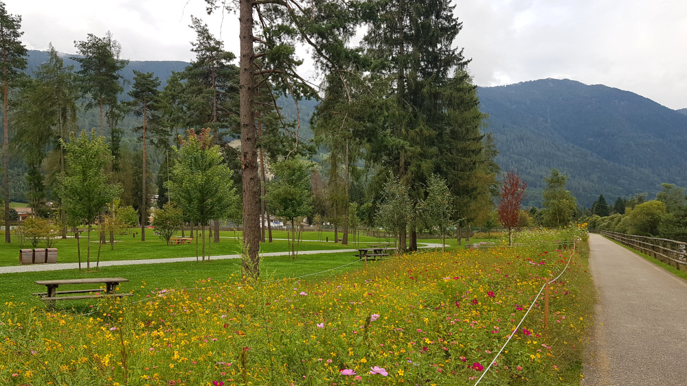 Pinzolo Parco Pineta
