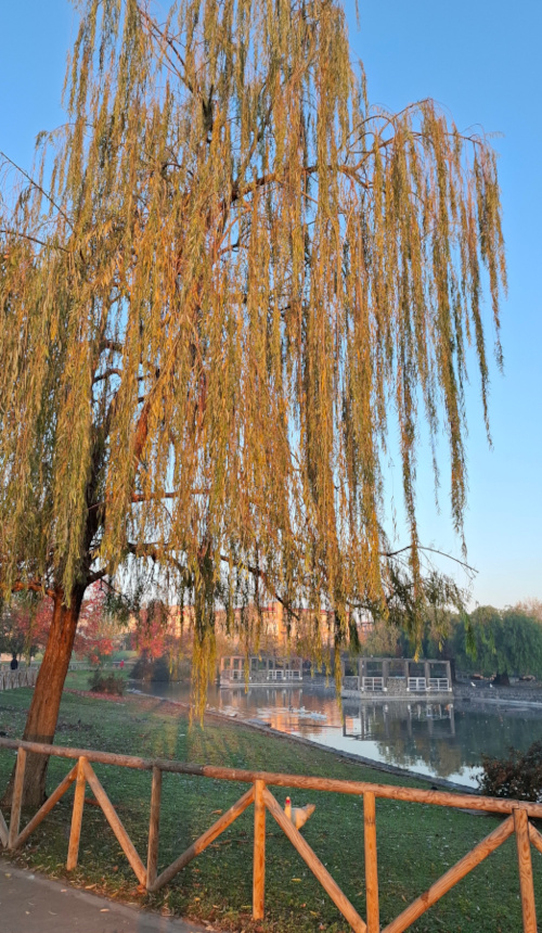 Parco di Pomigliano d'arco