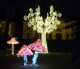 Installazioni_Luminose di Saleno