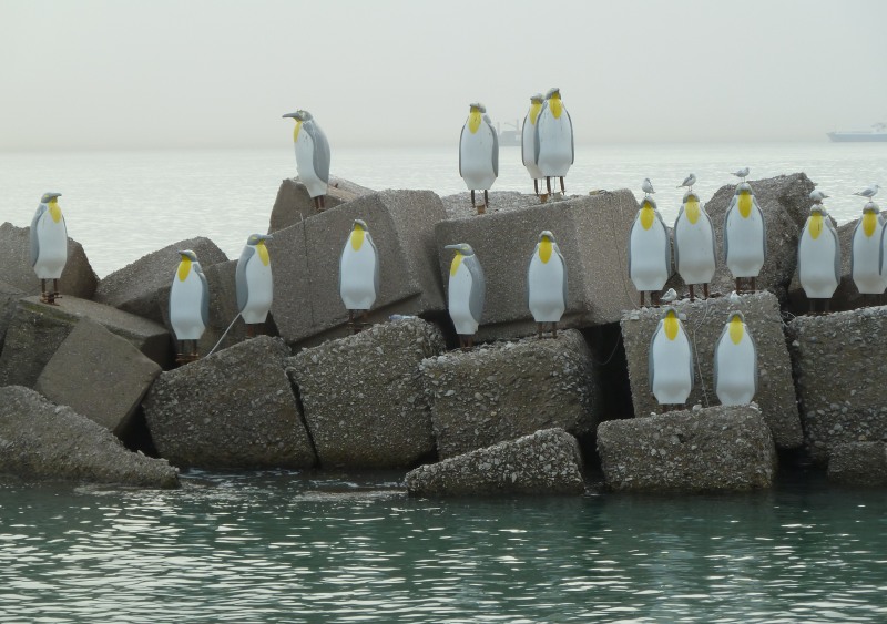 Pinguini Luci_d'artista Salerno