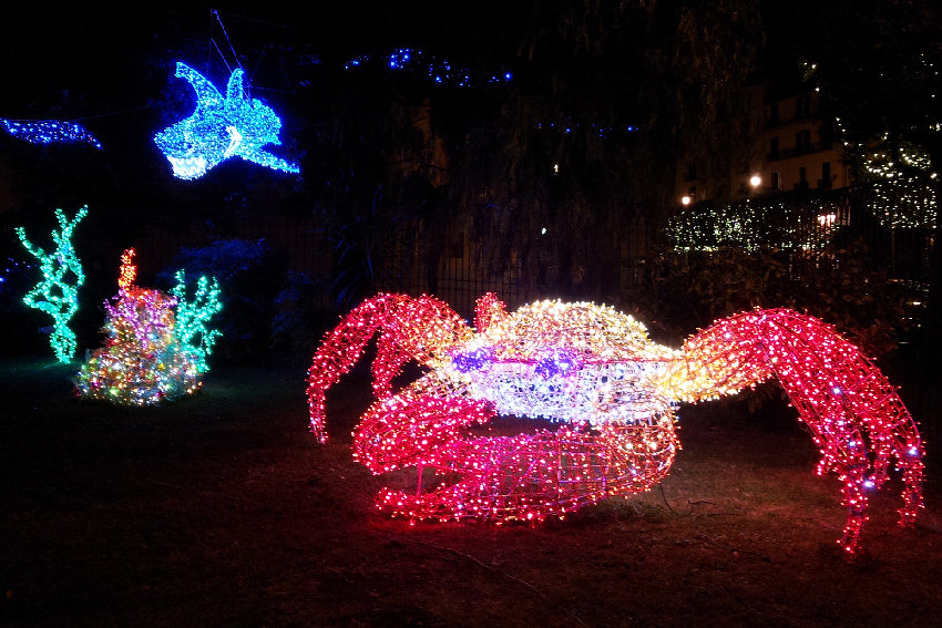 Salerno Granchio luminoso