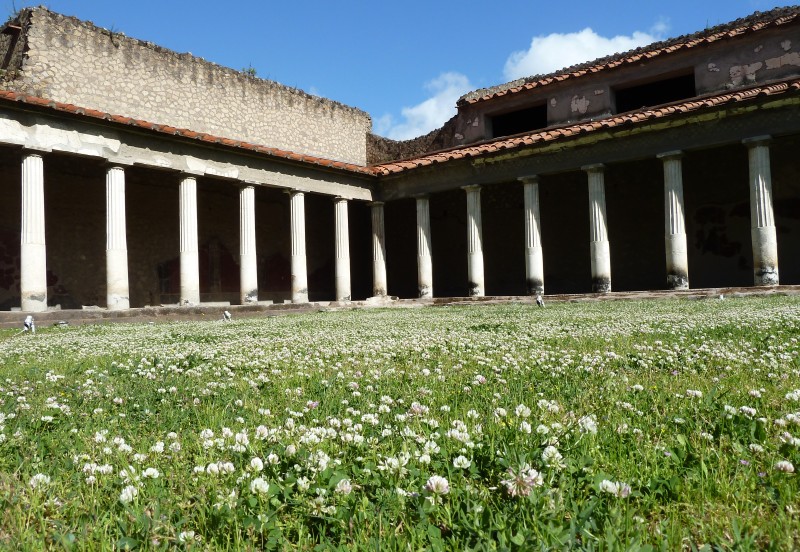 Scavi di Torre_Annunziata Oplonti