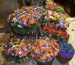 Confetti di Sulmona