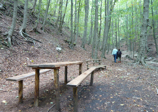 Oasi WWF di Monte Polveracchio