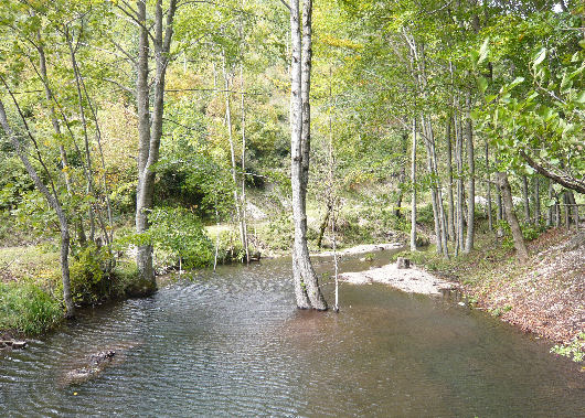 Oasi WWF di Monte Polveracchio