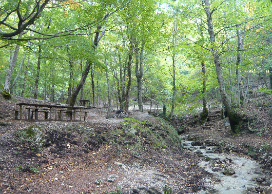 Oasi WWF di Monte Polveracchio