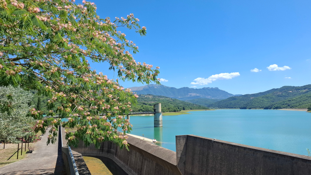 Oasi fiume Alento