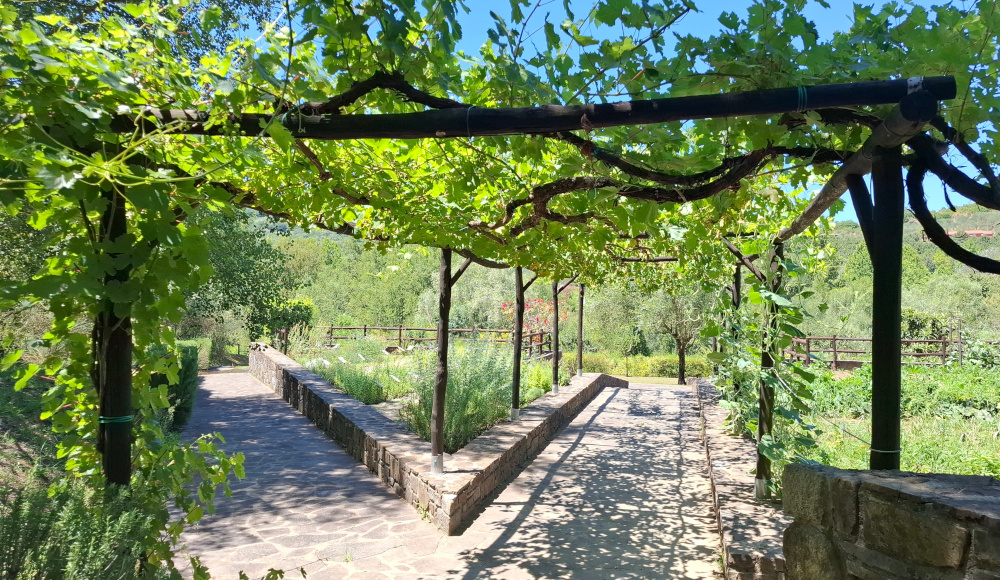 Giardino botanico dell'Oasi fiume Alento