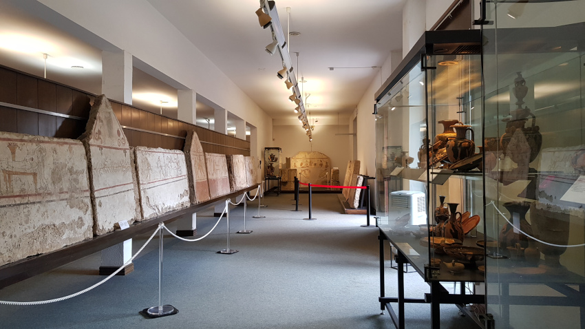 Sala interna al museo di PAestum