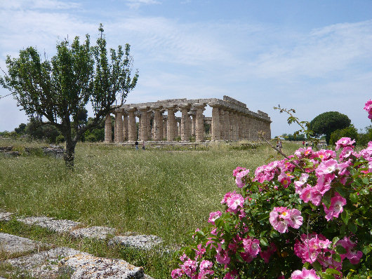Paestum: Tempio Basilica