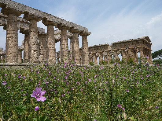 Templi di Hera e Nettuno - Paestum