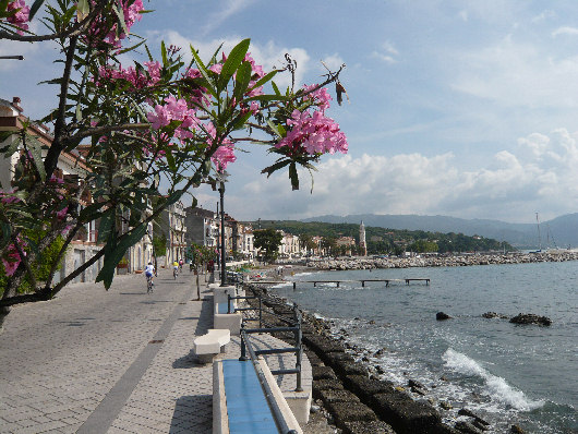 Lungomare della costa di Scario
