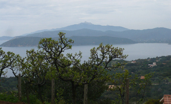 Veduta dell'isola d'Elba da Capoliveri