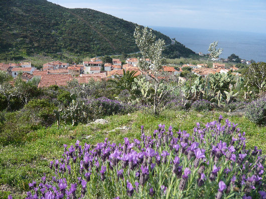 Campagna di Pomonte