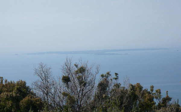 Pianosa