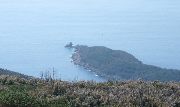Punta Fetovaia (isola d'elba)
