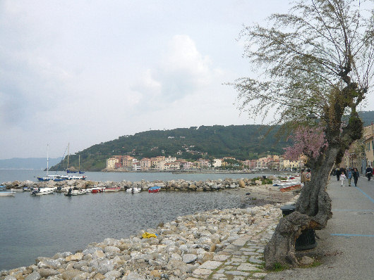 Lungomare di Marciana Marina