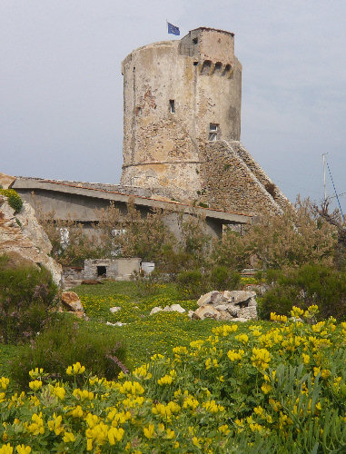 Torre degli Appiani di Marciana Marina