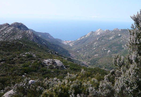 Veduta di Pomonte dal Monte Capanne