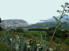 Campagna di Porto Azzurro