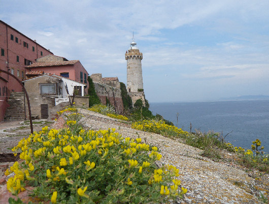 Faro e Forte stella di Portoferraio