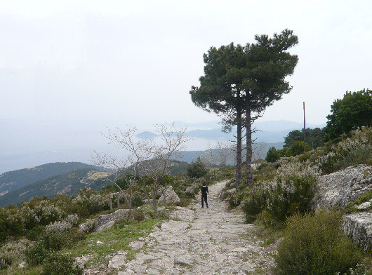 Sentiero di Marciana per il Santuario