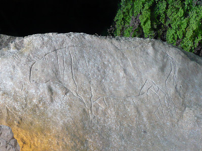 Incisione di 12.000-14.000 anni fa nella Grotta del Romito