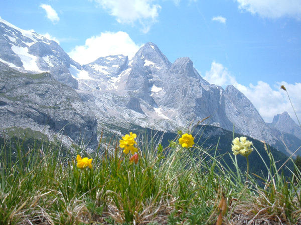 Marmolada