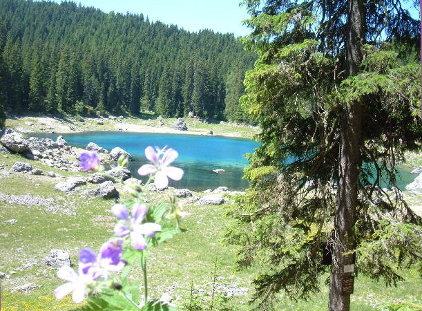 Lago di Carezza