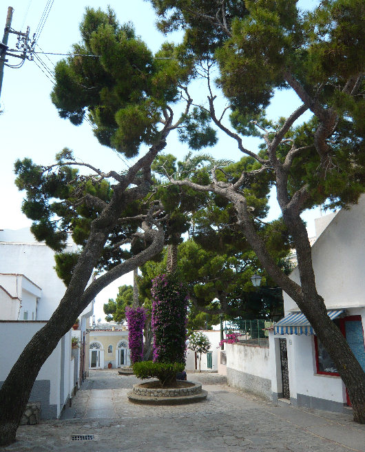 Quartiere Boffe in Anacapri