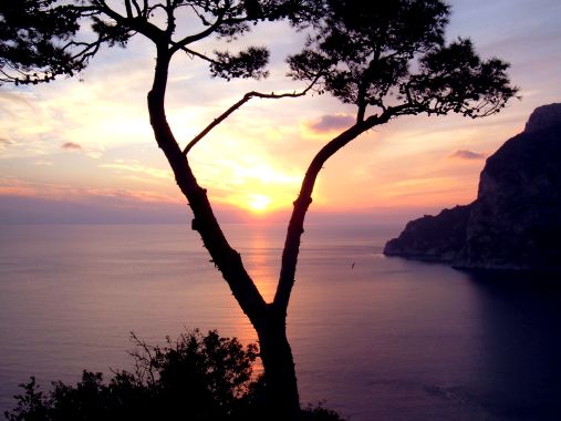 Capri: Tramonto a Tragara