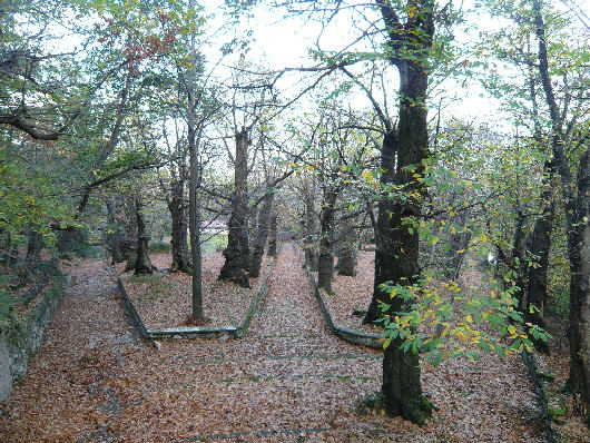 Bosco di Quisisana - Castellammare di Stabia