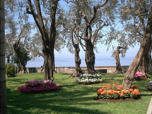 Risultati immagini per parco villa fondi