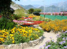 Giardini fioriti di Villa Rufolo