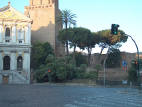 Piazza con cicas
